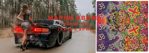 шишки Магас