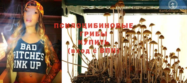 винт Аркадак