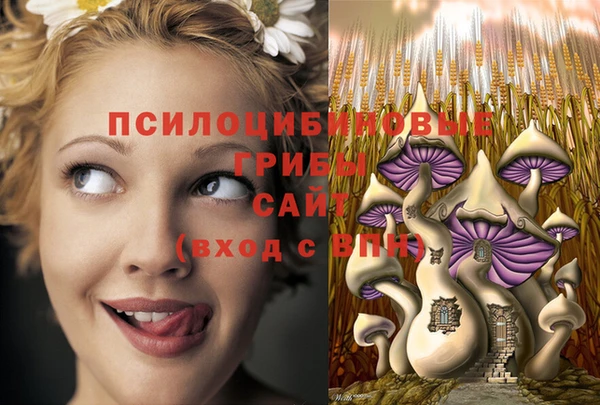 винт Аркадак