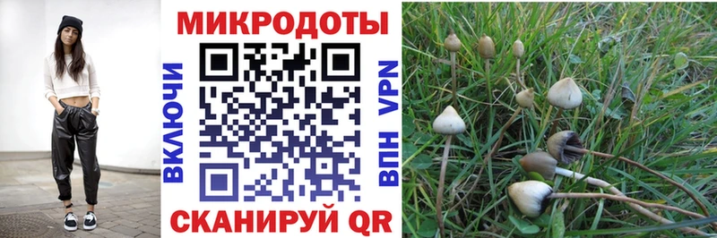hydra   купить   Каспийск  Псилоцибиновые грибы Psilocybine cubensis 