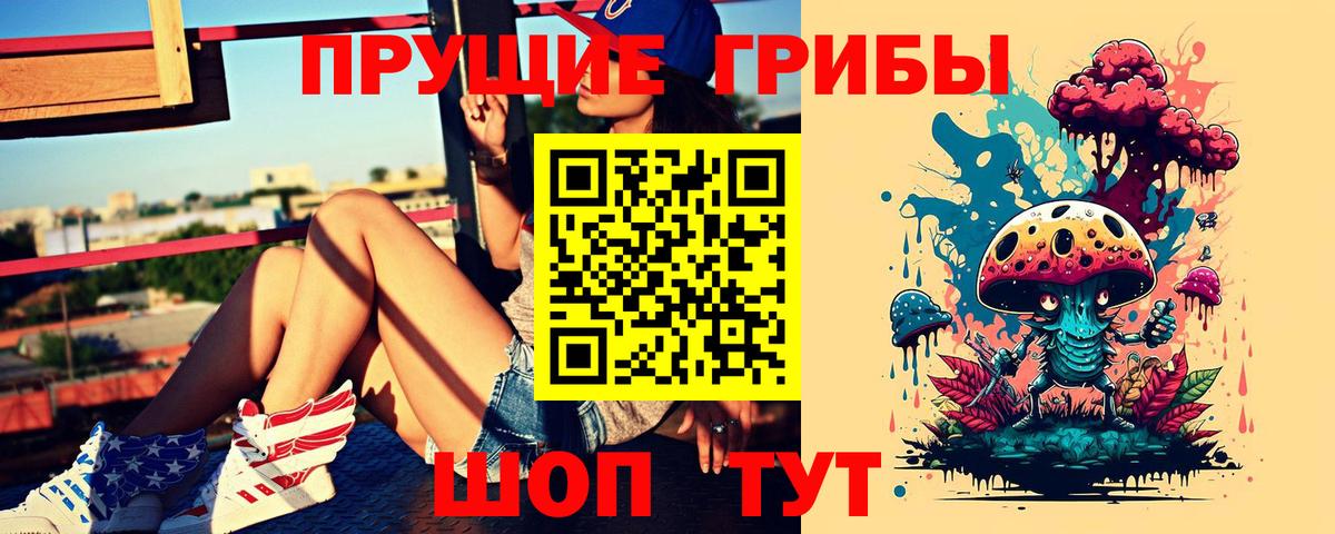 Каспийск  Галлюциногенные грибы MAGIC MUSHROOMS  Вход с VPN  Псилоцибиновые грибы мухоморы 