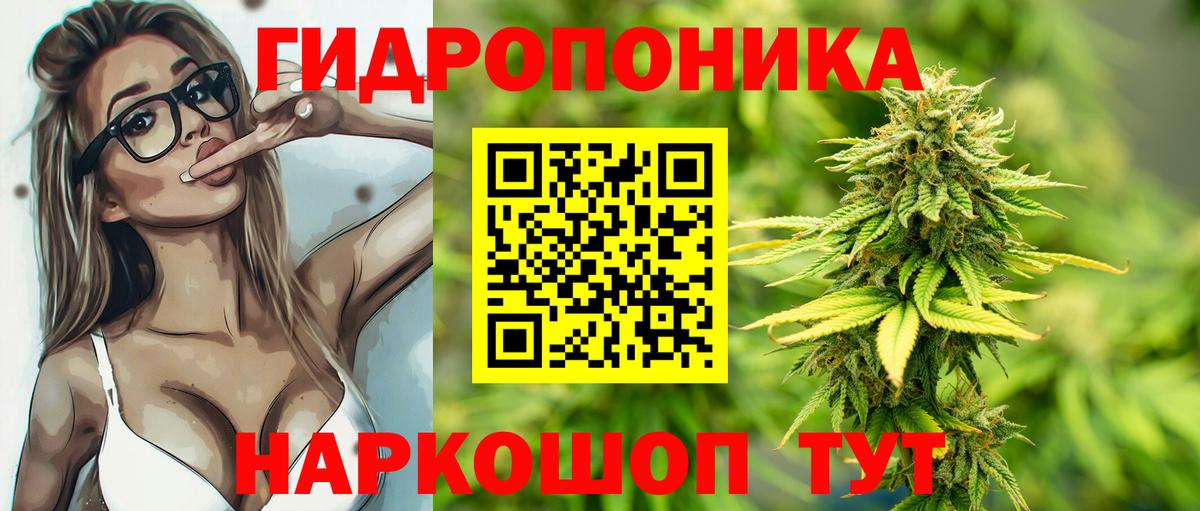 Каннабис Bruce Banner Каспийск
